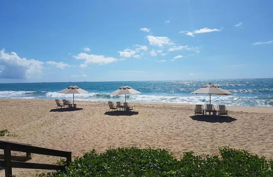 Beach Class Eco Life Figueira-1